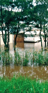 Caravan park flooding on the south coast