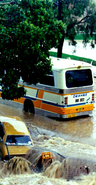 Flooding in Eastwood
            NSW