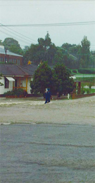 Ford Street, North Ryde, November 1984 flood (Source: Mrs J. Murrey)